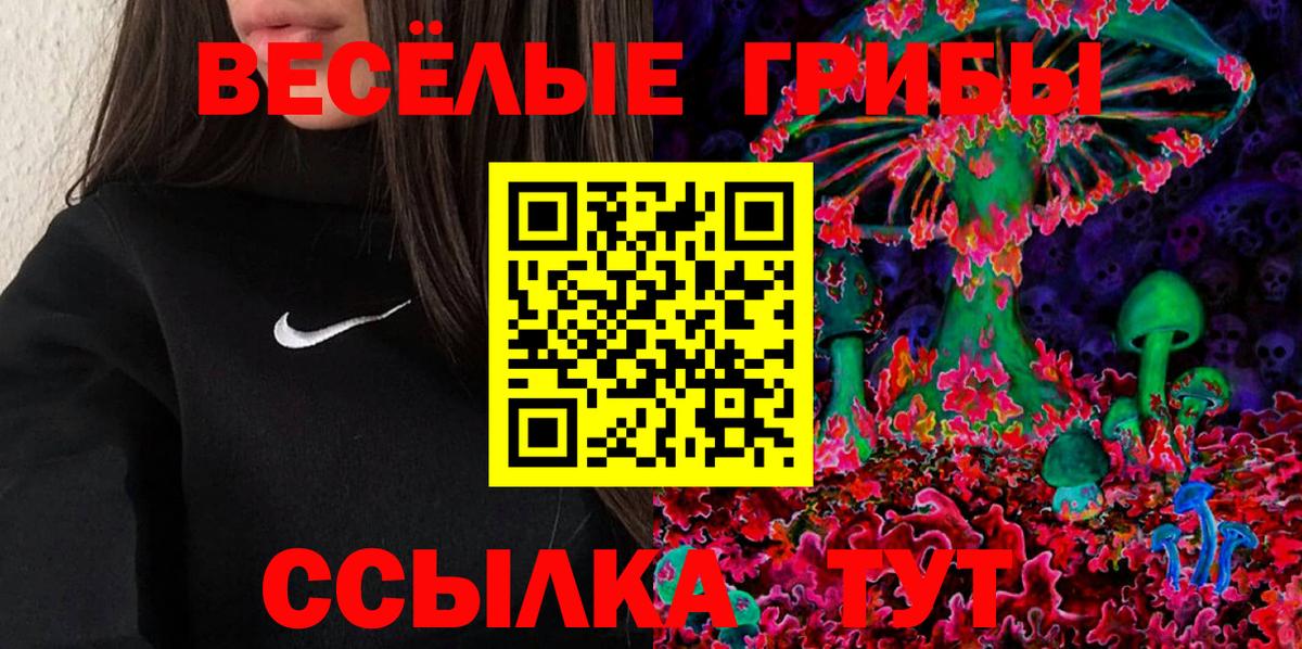 цена   Вход с VPN  Знаменск  Псилоцибиновые грибы Cubensis 